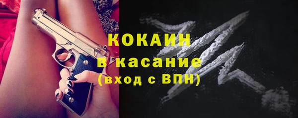 СК Сафоново