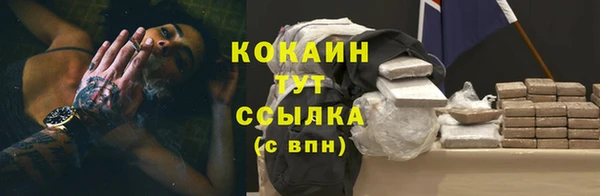 мдпв Богородицк