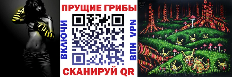 Галлюциногенные грибы Magic Shrooms  Зеленоградск 